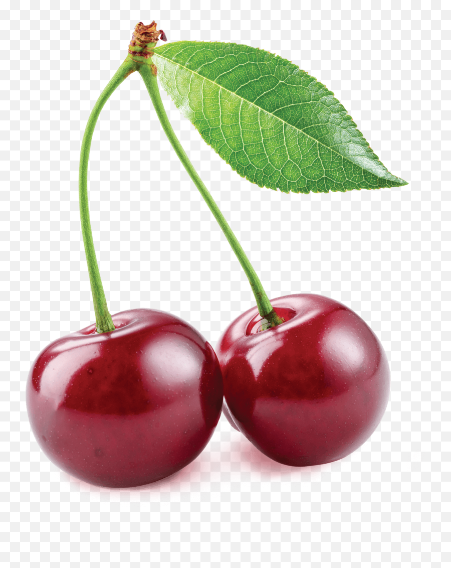Cherry Clip Art - Cherry Vector Transparent Background Png Cherry Png,Cherry Transparent Background