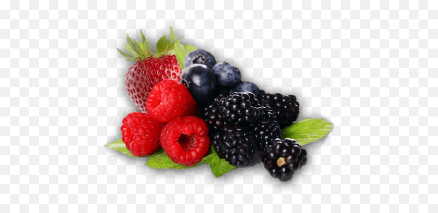 Free Png Berries Images Transparent - Berries Png Transparent,Blackberries Png