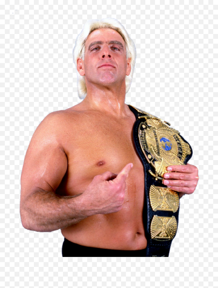Ric Flair - Wwe Image Id 155830 Image Abyss Ric Flair Wwe Champion Png,Ric Flair Png