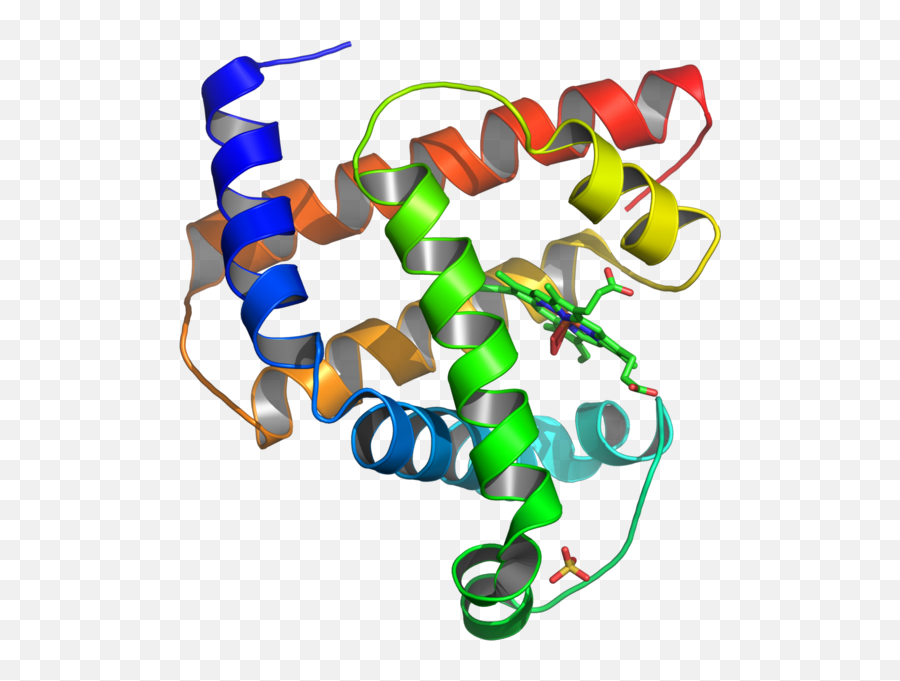 Reveal Structure Of Proteins Kurzweil - Random Coils In Protein Structure Png,Protein Png