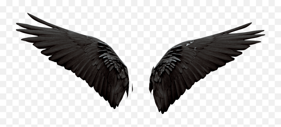 Devil Wings Photo Editing Background - Lovely Png,Devil Wings Png - free  transparent png images 