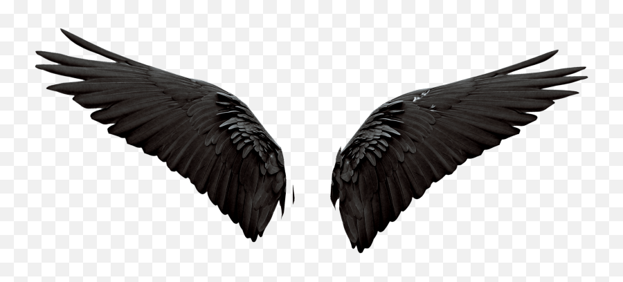 Devil Wings Photo Editing Background - Lovely Png,Devil Wings Png