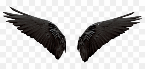 Devil Wings Photo Editing Background - Lovely png