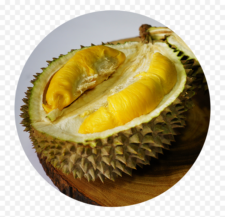 Durian Png - Musang King Png,Durian Png