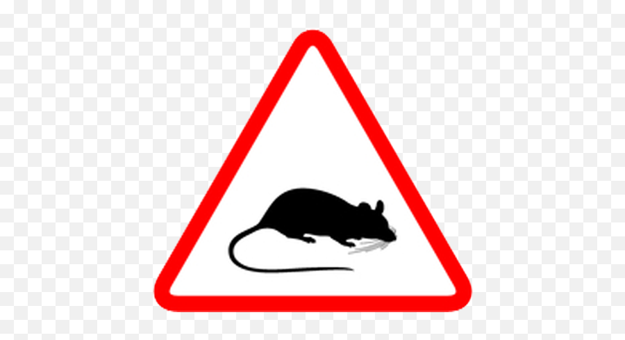Local Miami Florida Exterminators Helping Businesses - Rat Png,Mouse Rodent Icon