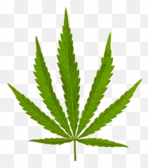 Hemp Purchase Contract - Marijuana Leaf png