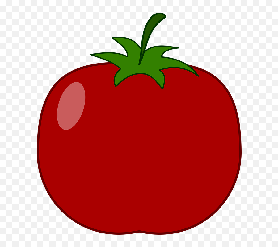 Illustration Food Round - Tomato Vector Png,Tomato Icon Vector
