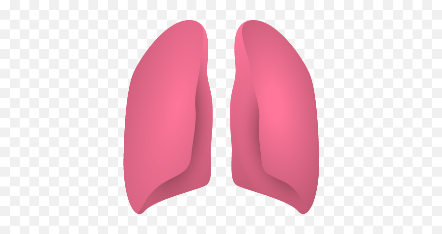 Reactome Lungs - Girly Png,Orcid Icon