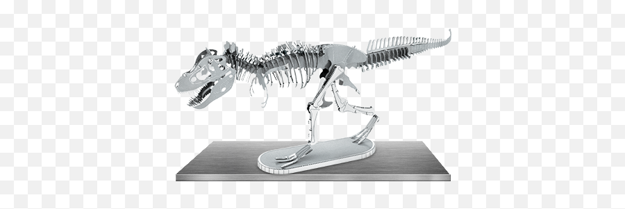 Tyrannosaurus Rex Skeleton - Metal Earth T Rex Png,Dinosaur Skull Png