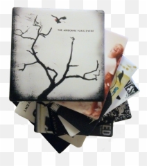 Wholesale Cheap Kiss Album Cover Coasters - Heavy Duty 4x4 Airborne Toxic Event The Airborne Toxic Event Png,Footjoy Icon Snakeskin Golf Shoes