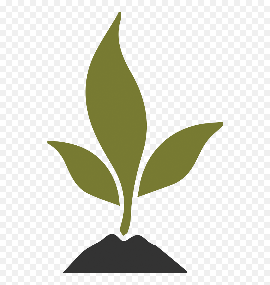 Financial Growth Advisors - Home Soil Png,Financial Growth Icon