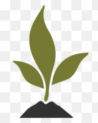 Financial Growth Advisors - Home Soil png