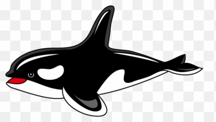 Killer Whale Clipart Png - Orca Clipart,Orca Png