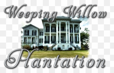 Weeping Willow Plantation - Nottoway Plantation Png,Weeping Willow Png