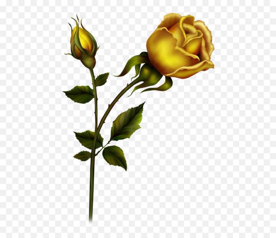 Bud Clipart Yellow Rose - Animatsiya Png Download Full Roses And Rose Bud Clipart,Yellow Rose Transparent
