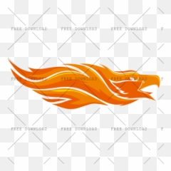 Eagle Hawk Kite Bird Png Image With
