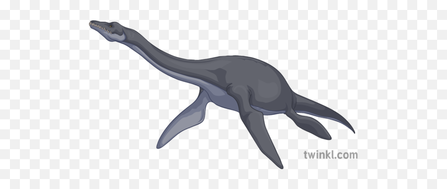 Loch Ness Monster Nessie General Secondary - Humpback Whale Png,Loch Ness Monster Png