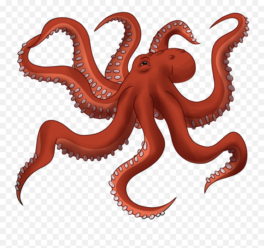 Png Images Transparent Free Download - Octopus Png,Octopus Png