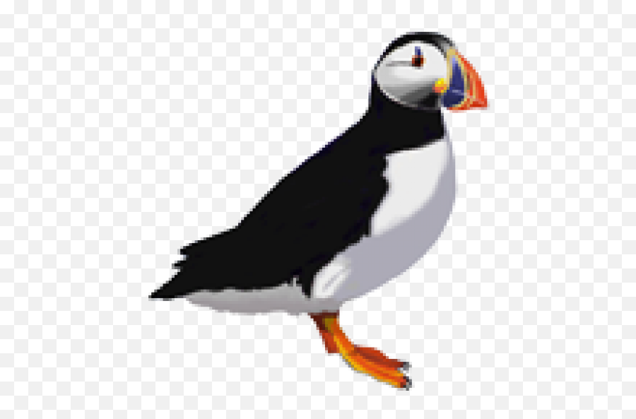 Cropped - Puffin Logo Png,Puffin Png