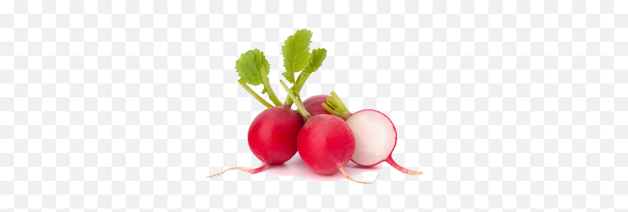 Png Radish Transparent Background - Radish Skin,Radish Png