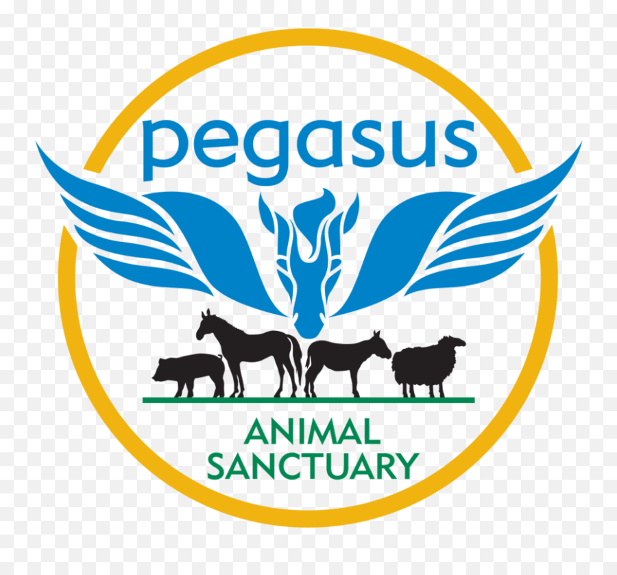 Pegasus Animal Sanctuary Redesign U2014 Daniel Chew - Pegasus Animal Sanctuary Logo Png,Pegasus Png