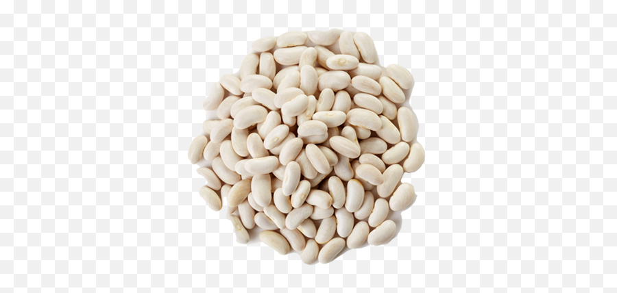 White Beans - Lazez Natural Taste Of Freshness Navy Bean Png,Beans Transparent
