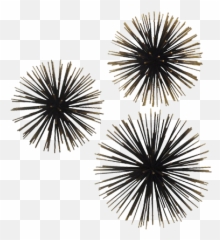 Download Hd Sea Urchin Wall Décor Gold - Project 62 Sea Urchin Wall Décor Gold Project 62 Png,Sea Urchin Png