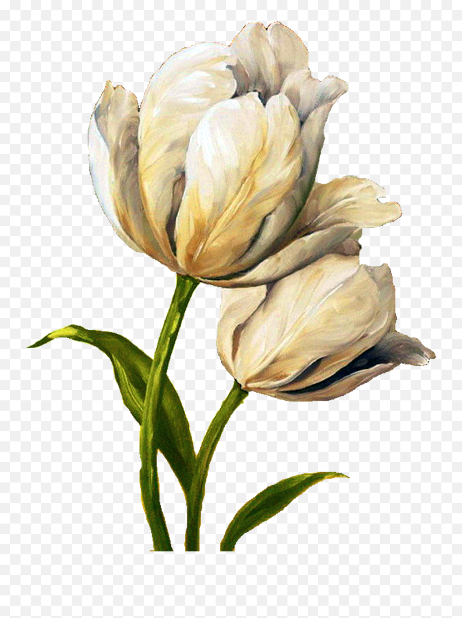 Decoupage Flower Painting - Tulip Tulips Flower Yellow Paint Png,Wall Art Png