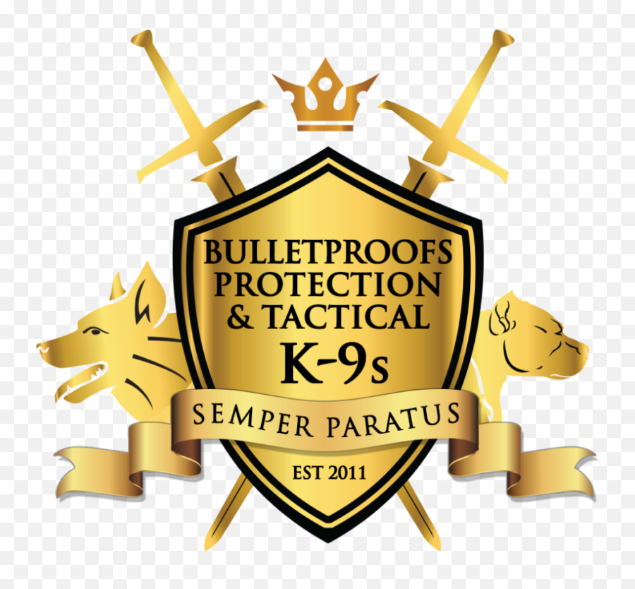 Training Options And Help Bulletproof Pitbulls - Language Png,Pitbull Logo