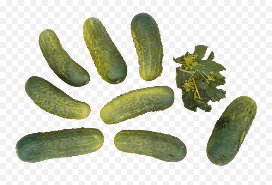 Cucumber Download Free Png Play