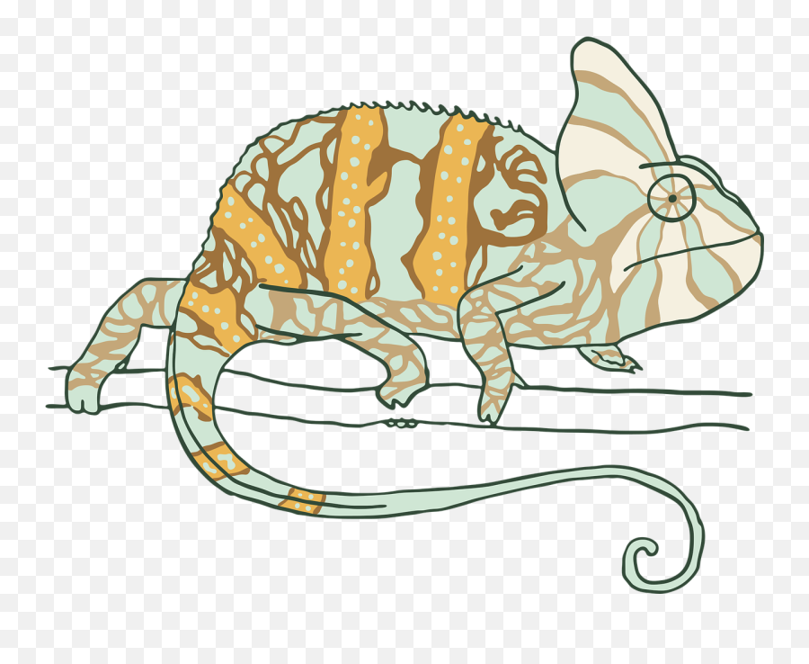 Chameleon Png 1280x993 - Free Image Bank Imagenes Gratis,Draw Png