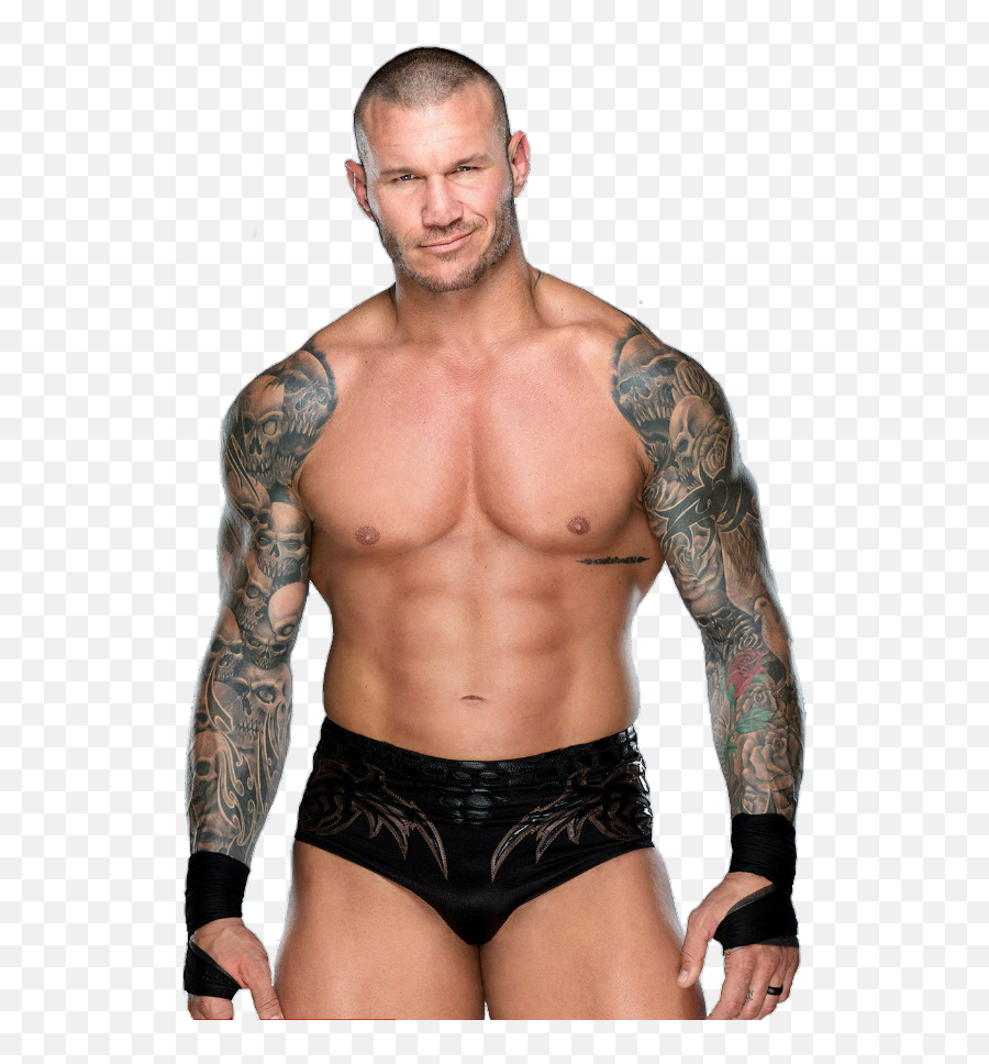 Randy Orton Png 6 Image - Wwe Randy Orton Png,Randy Orton Png