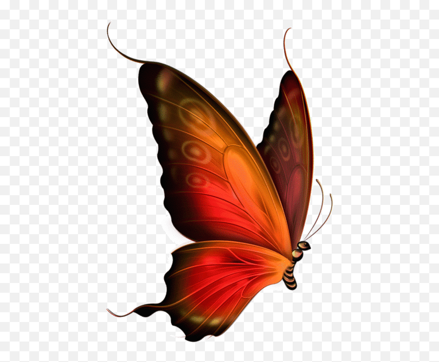 Flying Butterfly Wallpaper Gif - Red And Brown Butterfly Png,Butterfly Gif Transparent