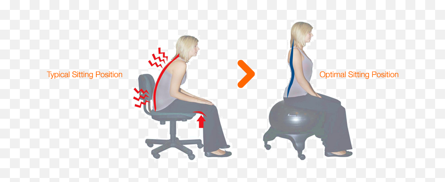 Evolution Chair Applications - Dental Hygiene Ball Chair Png,Person Sitting In Chair Back View Png