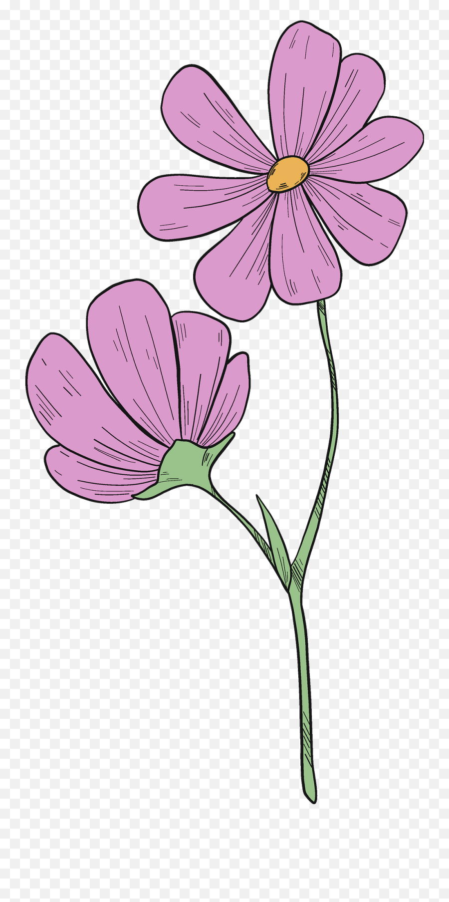 Wildflowers Clipart - Lovely Png,Wildflowers Png