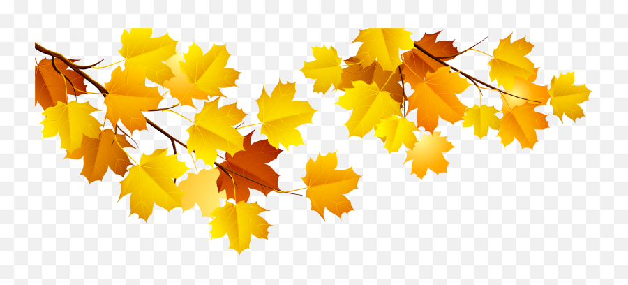 Autumn Png Transparent Images All - Fall Tree Branch Png,Fall Frame Png