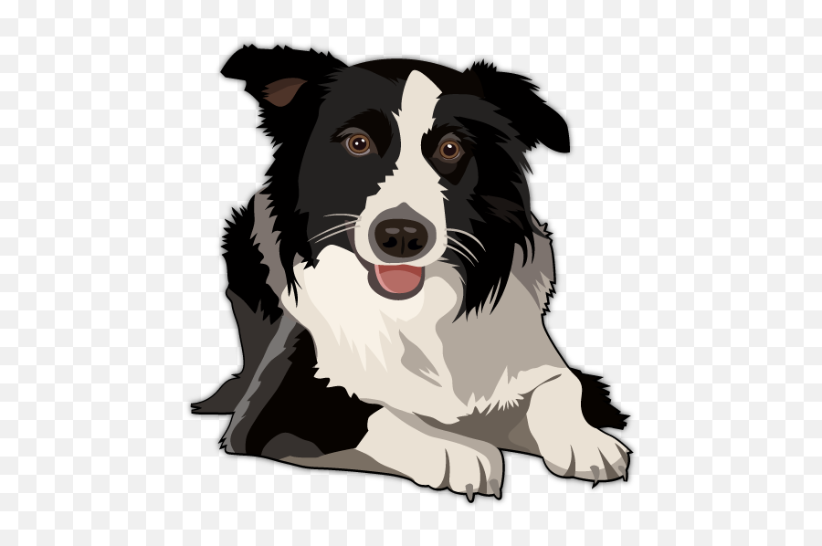 His Dog Graphic Boarders Png Files - Clipart Border Collie Dogs,Boarders Png