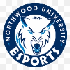 Ghost Lionblaze Lionblaze246 Twitter - Northwood University png