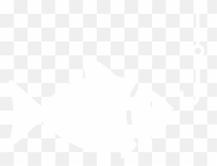 Home - Cypriniformes png