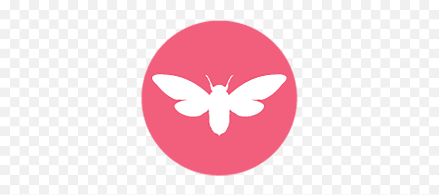 Cicada Creative U2013 Hannahu0027s Heart - Girly Png,Pink Butterfly Icon