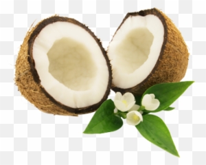 Coconut Png Free Download 22 - Coconut Png,Coconut Png