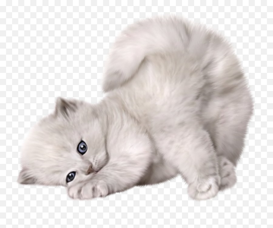 Large Png Cute Cat Picture - Cute Cat Png,Cute Cat Png