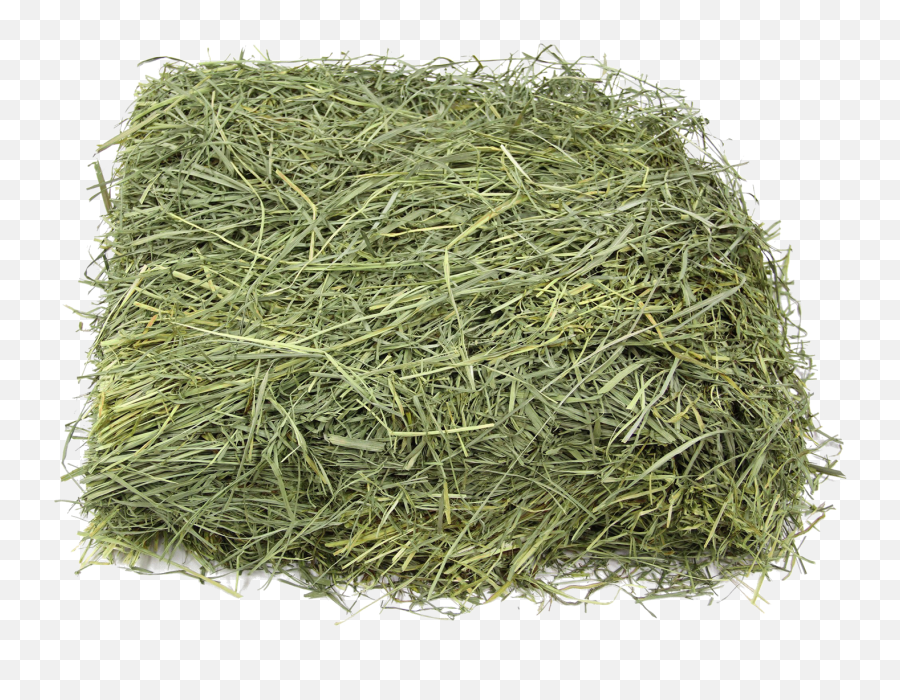 Hay Png Free Download - Kentucky Bluegrass Hay,Hay Png