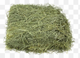 Hay Png Free Download - Kentucky Bluegrass Hay,Hay Png