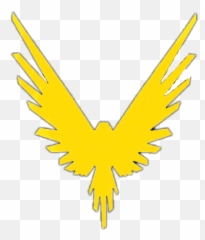 Birds Parrot Parrots Logang4life - Golden Eagle png