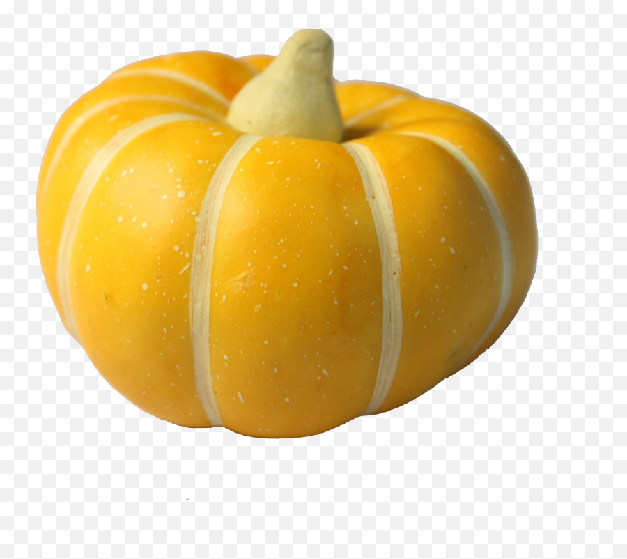 Png Free Gourd Order - Transparent Gourd Png,Gourd Png