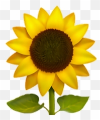 Sunflower Emoji Flower Freeedit Iphone Cute - Transparent png