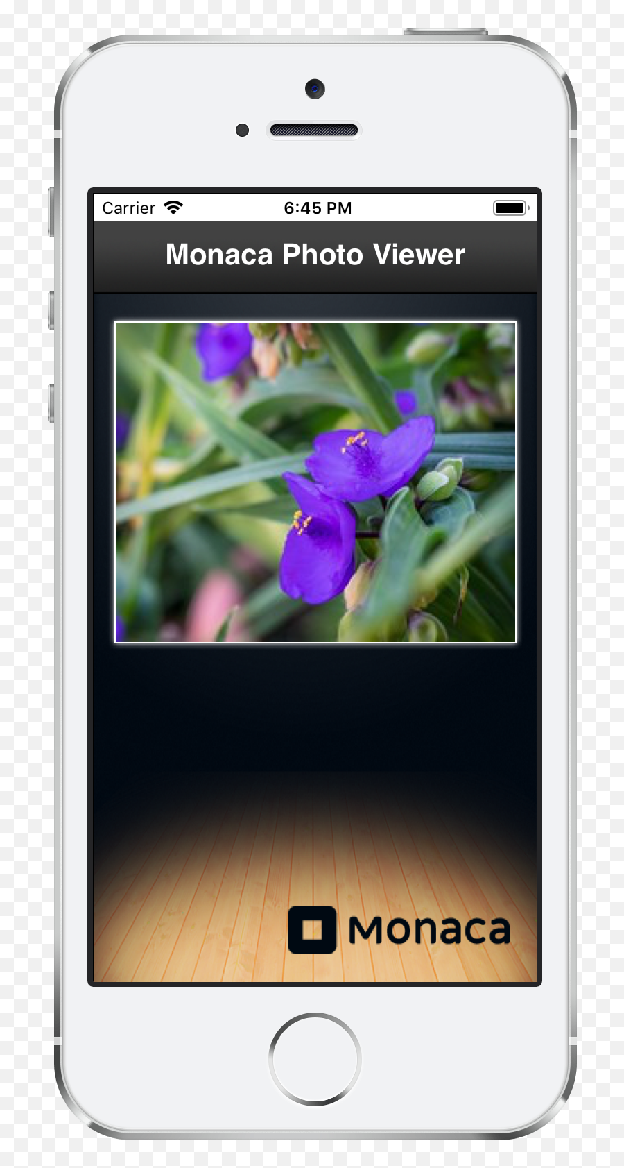 Flickr Sample Monaca Docs - Iphone Png,Sample Png File