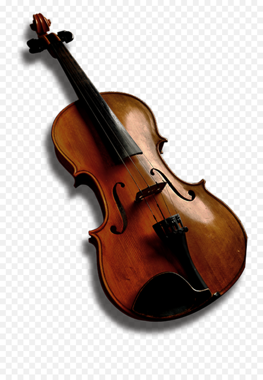 Download Bass Violin Viola Violone - Viola Png,Viola Png