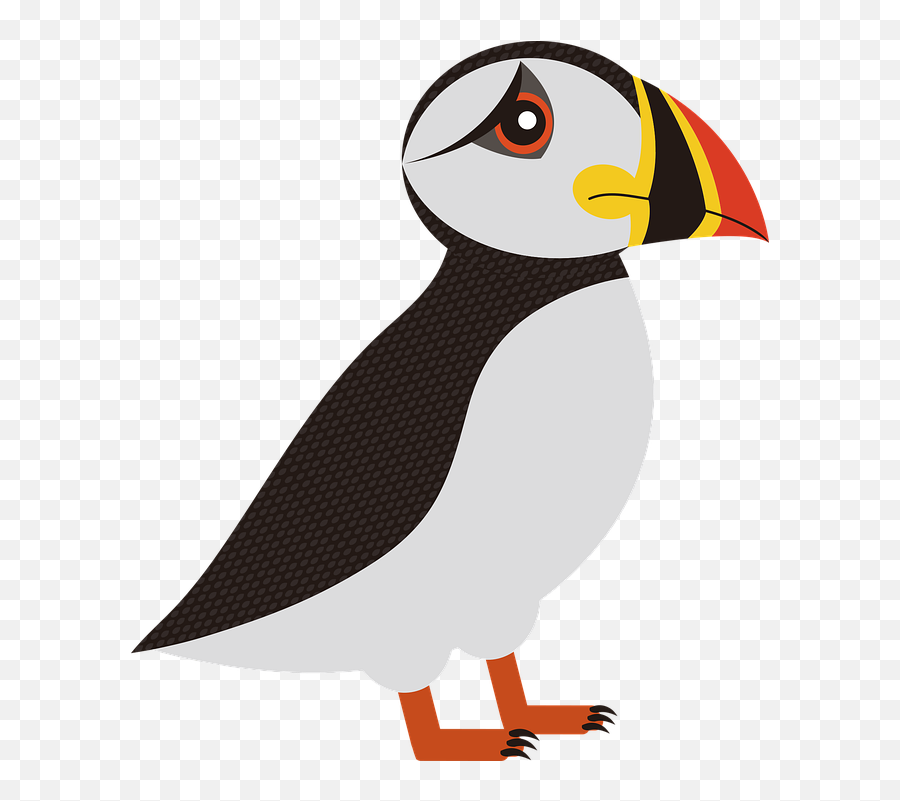 Puffin Bird Sea - Puffin Png,Puffin Png
